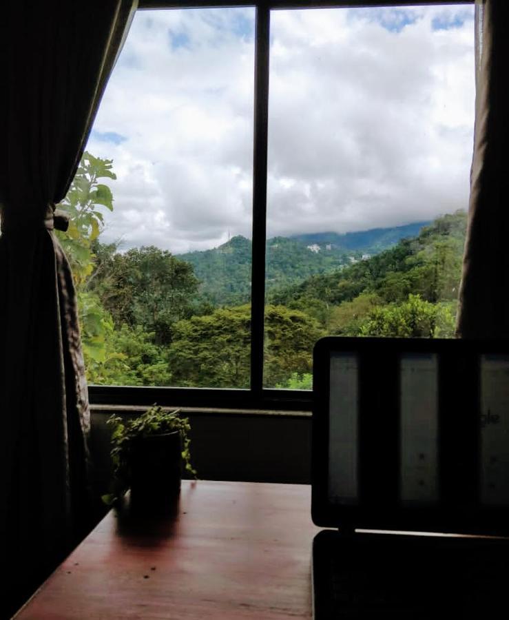 Mannoor Farms Mountain View Stays, Муннар Екстер'єр фото